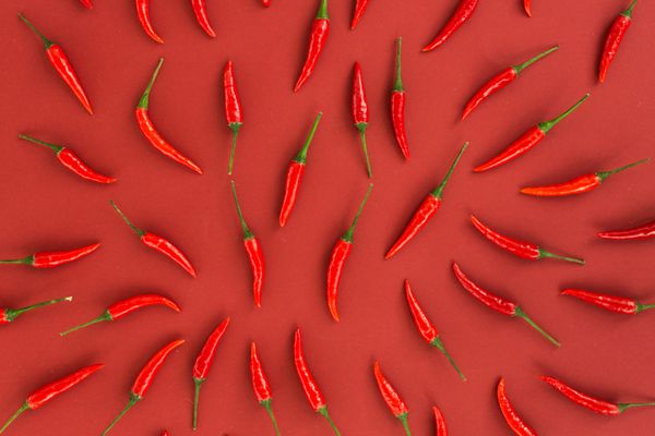 فلفل قرمز فلفل قرمز مفهوم ادویه جات ترشی جات الگوی تزئینی chili قرمز با دم سبز در پس زمینه قرمز کولاژ قرمز زیبا از فلفل به صورت آزاد دروغ نمایش بالا تخت خوابیده