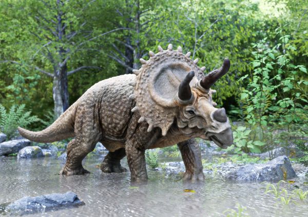 دایناسور استگوسوروس ایستاده در آب با پس زمینه جنگل رندر 3d