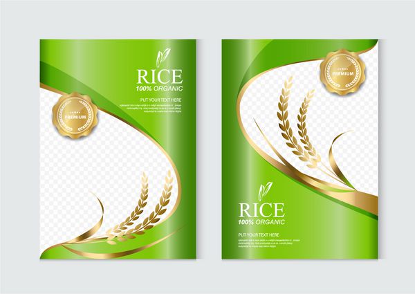 برنج یا غذای تایلندی بنر و طرح بردار قالب بردار