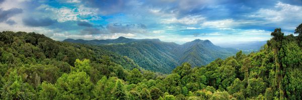 پانوراما از منظره توریستی در پارک ملی Dorrigo به سمت کوه ها و تپه هایی که توسط جنگل های باران سرد همیشه درخشان است باقی مانده از قاره باستانی Gondwana در استرالیا