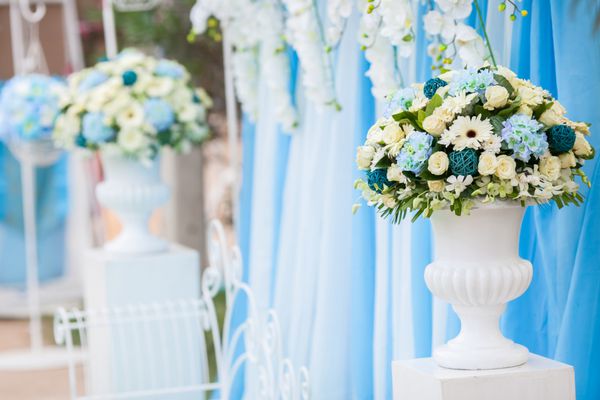 گل در مراسم عروسی گل آبی در گلدان یونان