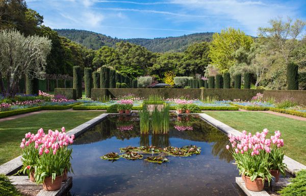 فیلینی با نمایشگاه مجسمه سازی CA USA April 15 2017 فیلولی یک خانه ای است که در 16 هکتار 65 هکتار باغ های رسمی محصور شده است و املاک 654 هکتار 265 هکتار واقع در Woodside کالیفرنیا است