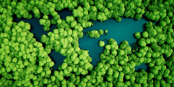 دریاچه های Rainforest در قالب قاره های جهان مفهوم توسعه پایدار محیط زیست تصویر 3D