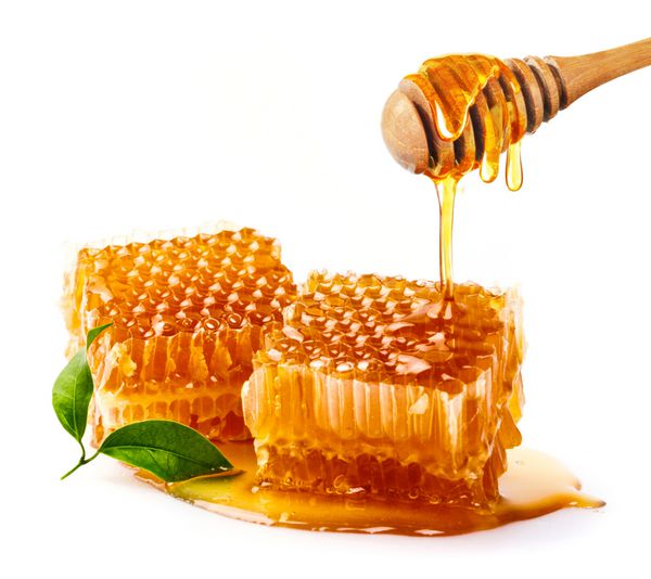 لانه زنبوری شیرین و چوبی چکیدن عسل جدا شده بر روی زمینه سفید پرنده عسل