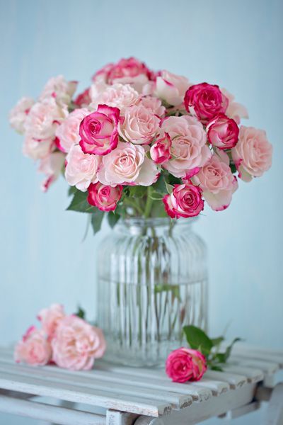 ترکیب گل گل رز با گل رز صورتی بسیاری از گل رز های صورتی زیبا بر روی یک میز