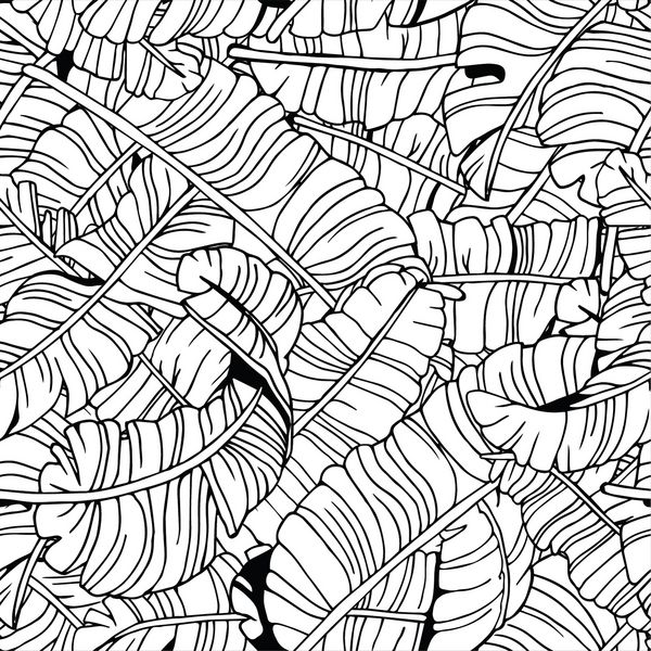 پالت برگ یک الگوی بدون درز سابقه گرمسیری عجیب و غریب دست نقاشی سیاه و سفید تصویر