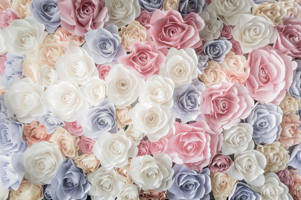 پس زمینه کاغذ رنگی کاغذ گل رز در یک پذیرش عروسی با رنگ نرم