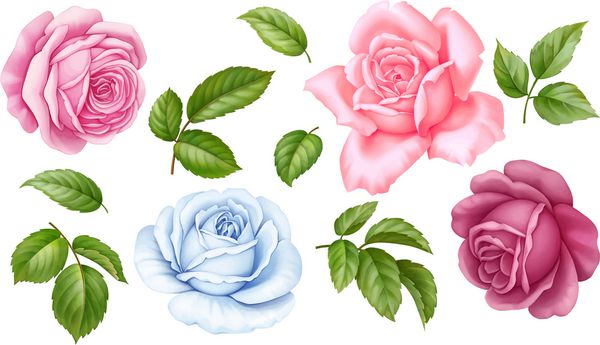 مجموعه ای از گل های صورتی قرمز آبی و سفید گل رز گل برگ سبز جدا شده بر روی زمینه سفید تصویر آبرنگ دیجیتال
