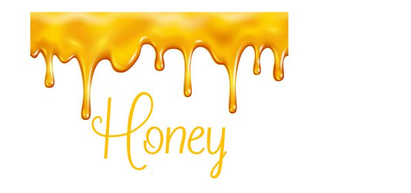 چلپ چلوپ پر از قطرات شیرین از پوست زنبور عسل سلطنتی برای زنبورداری عسل فروشگاه عسل یا نانوایی طراحی برداری از شربت عسل برای دسر یا کافه تریا و کیک و کوکی ها