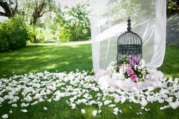 دکوراسیون عروسی تزئین درختان گل در قفس سیاه