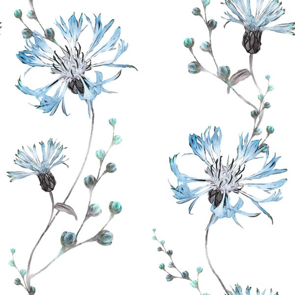 الگوی بدون درز با گل های آبی پس زمینه الگوی گلدار آبرنگ با گل کلم گلدوزی برای کاغذ دیواری کارت یا پارچه گل وحشی در رنگ پاستا