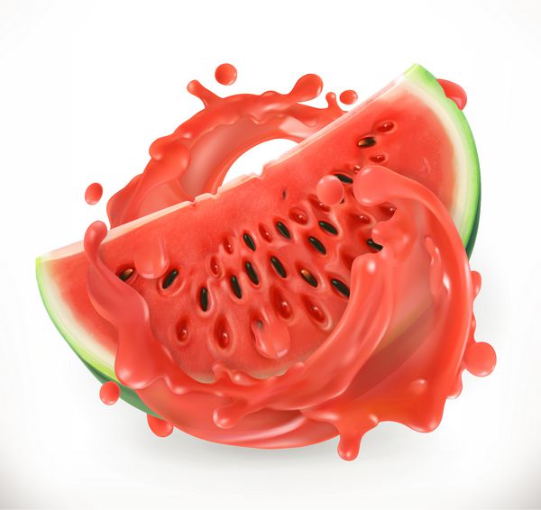 آب هندوانه میوه تازه واقع گرایی 3D آیکون برداری