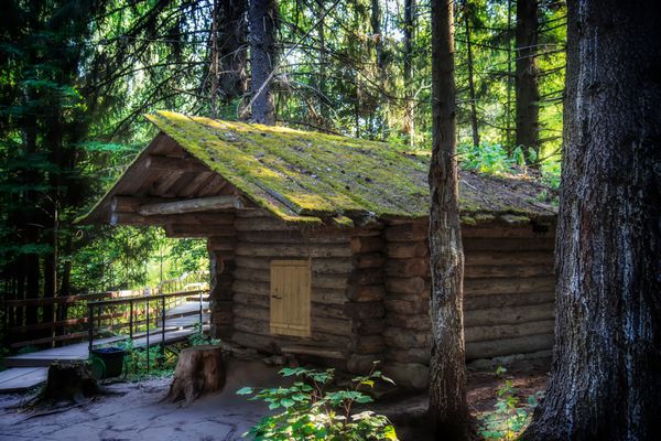 کلبه چوبی در یک جنگل کاج با یک سقف مسی