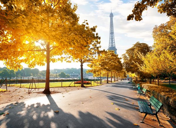 صبح آفتابی و برج ایفل در پاییز پاریس فرانسه