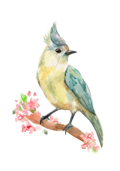 پرنده ای زیبا در شاخه گل نقاشی آبرنگ