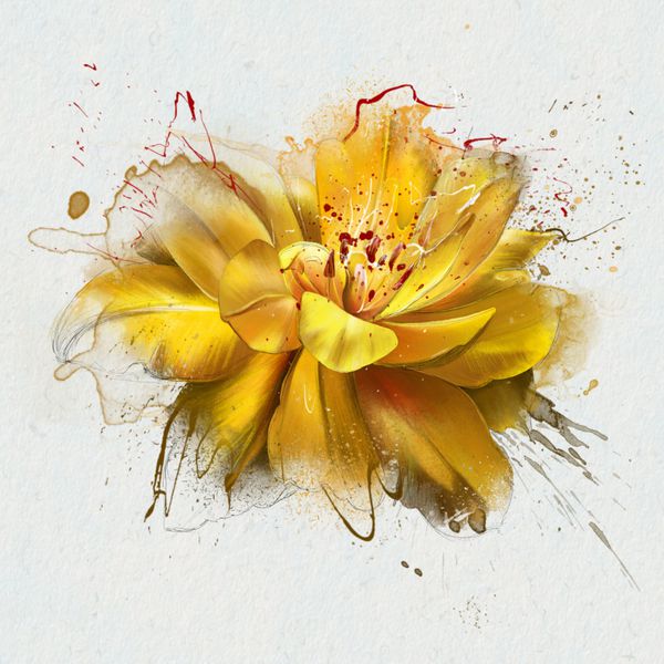 آبرنگ نقاشی گل بهار زرد لاله به طور کامل باز شده است با چشمه ها و قطره های رنگ