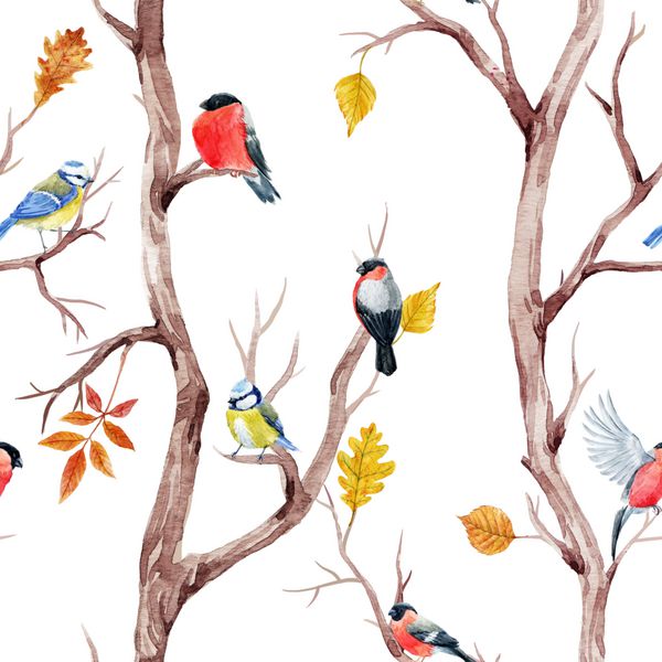 الگوی آبرنگ درخت پاییزه با برگ و پرنده در شاخه ها پرنده و قورباغه برگ شاه بلوط خاکستر کوه توس تصویر زمینه پاییز زیبا