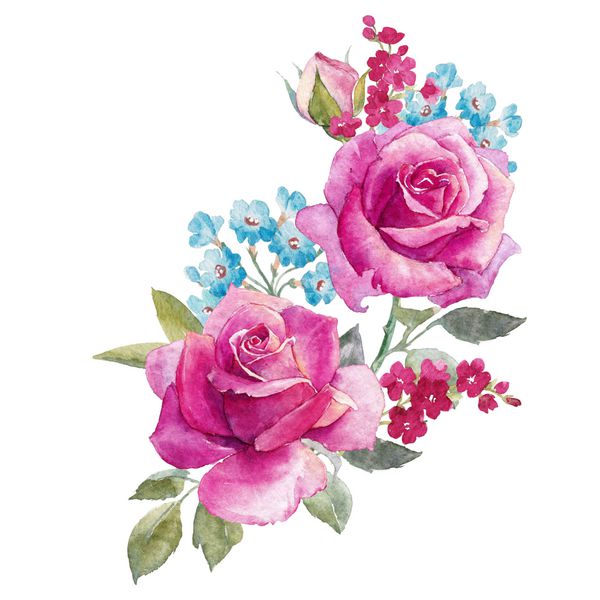 تصویر آبرنگ یک دسته گل رز صورتی گل آبی و بنفش است گل کارت تبریک