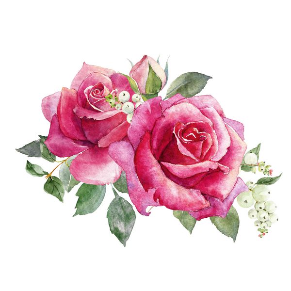 تصویر آبرنگ یک دسته گل رز قرمز انواع توت ها برف ریزه گل کارت تبریک
