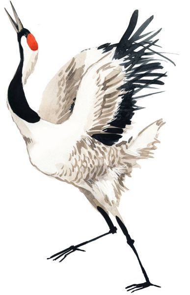 تصویر آبرنگ پرنده جرنگ ژاپنی