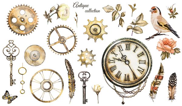 آبرنگ بخار تصویر گل رز ساعت ساعت کلید پر طلا و جواهر زنجیره ای و پرنده گل سبک مجموعه ای جدا شده بر روی زمینه سفید مجموعه پرنعمت