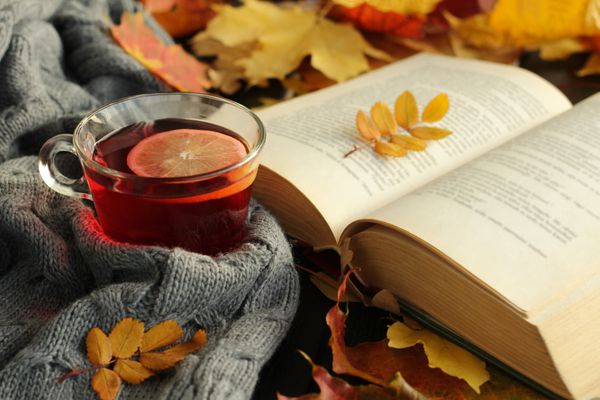 پاییز برگ سقوط فنجان چای کتاب و شال گرم را روی میز چوبی باز کنید خواندن فصلی خواندن کتاب تفریح ​​یکشنبه تعطیلات و مفهوم زندگی هنوز تمرکز انتخابی