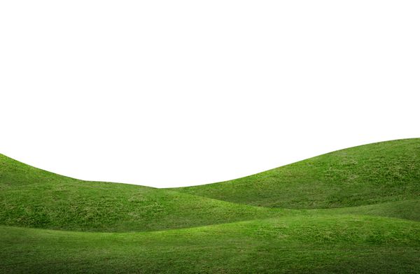 تپه سبز از چمن زمینه جدا شده بر روی زمینه سفید