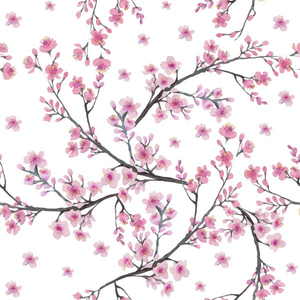 الگوی بدون درز با شاخه گل شکوفه گیلاس نقاشی آبرنگ