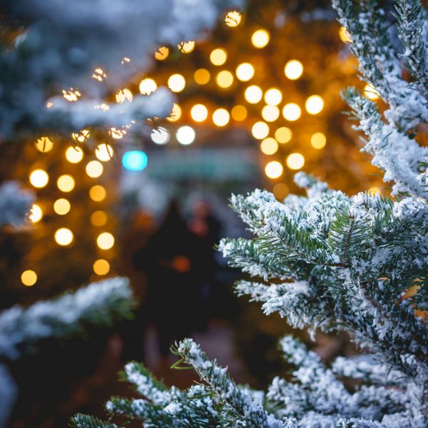 درخت کریسمس نزدیک با برف و تاریکی چراغ های گرم در پس زمینه فرمت مربع
