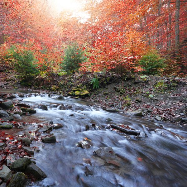 چشم انداز طلوع آفتابی رنگارنگ در کوه ها رودخانه در جنگل پاییز چشم انداز بریتانیا اروپا گردشگری سفر جهان