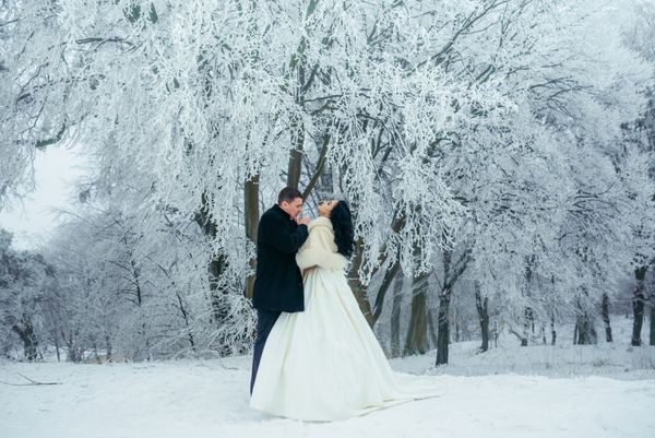 طول کامل افق روح گرما دست دست عروس زمستان برف درخت جنگل حساس عروسی Newlywed زن و شوهر