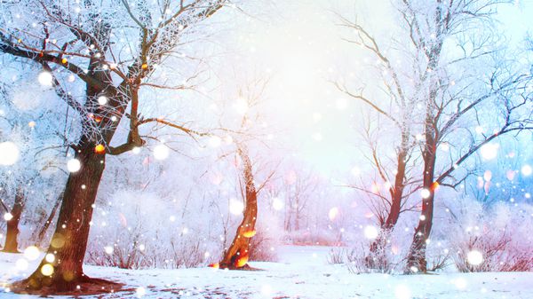 زمستان چشم انداز صحنه زیبا با برف پوشیده شده درختان و یخ چشم انداز کریسمس زیبایی زمستان زمستان سرزمین عجایب درختان یخ زده در جنگل های برفی طبیعت زمستان مناسب