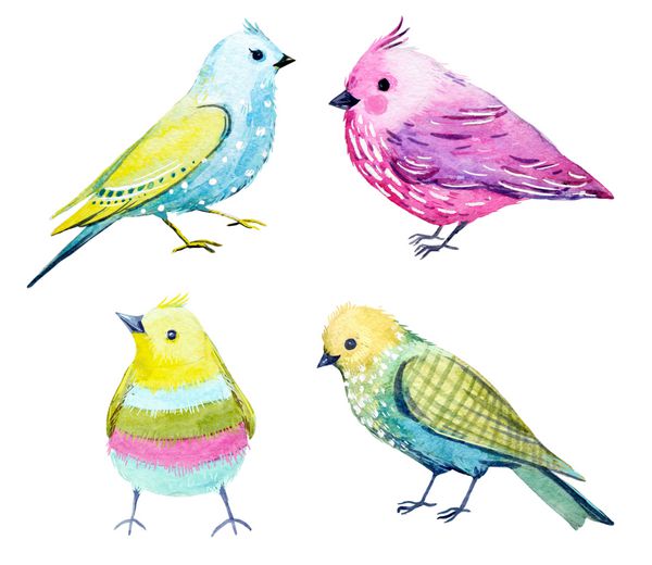 آبرنگ زیبا مجموعه پرندگان خنده دار رنگارنگ