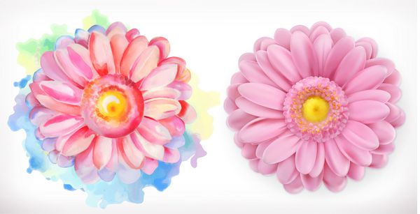 گل های صورتی بهاره دیزی آبرنگ و واقع گرایی 3D