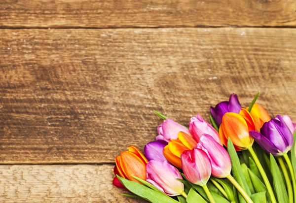 لاله های رنگارنگ در صفحه چوبی روز مادر مبارک بهار زمان