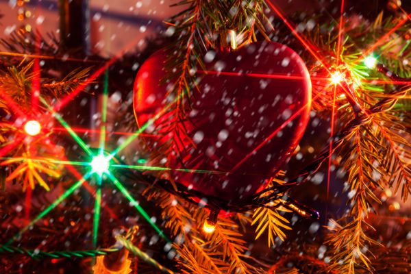 شاخه درخت کریسمس با اسباب بازی های کریسمس و حلزون صدف دار
