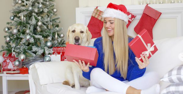 زیبا دختر نشسته در زمان کریسمس روی مبل با بهترین دوستش لابرادور او هدیه تعطیلات جعبه ای و سرگرم کننده را نگه داشته است
