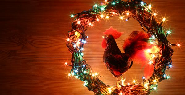 سال نو مبارک 2017 در تقویم چینی از کارت کوکی فنجان خاردار با جواهر کریستال دست ساز ساخته شده در تزئین کریسمس و گل سرخ رنگی از لامپ های رنگی پس زمینه چوبی