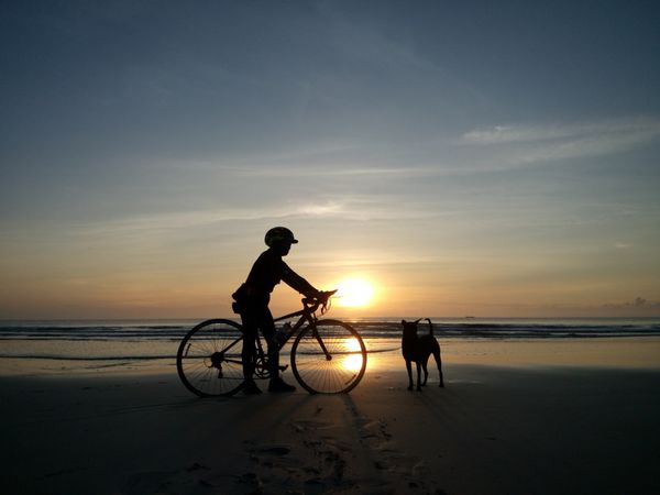 دوچرخه سواری به ساحل در خلیج تایلند