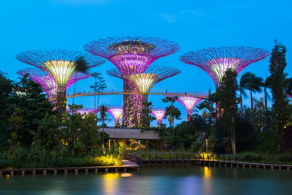 باغ های خلیج SuperTree Grove در سنگاپور