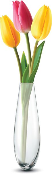 دسته گل لاله در یک گلدان شیشه ای روی سفید تصویر برداری بردار