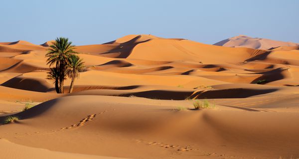 مراکش ماسه های ماسه ای از صحرای صحرا