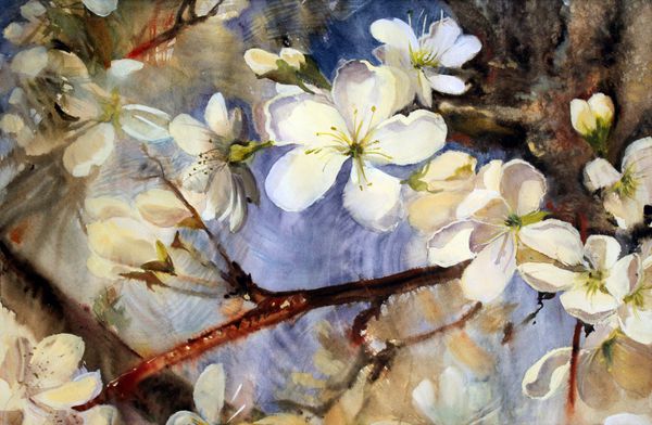 آب رنگ از گل بهار شاخه های درخت با گل های سفید