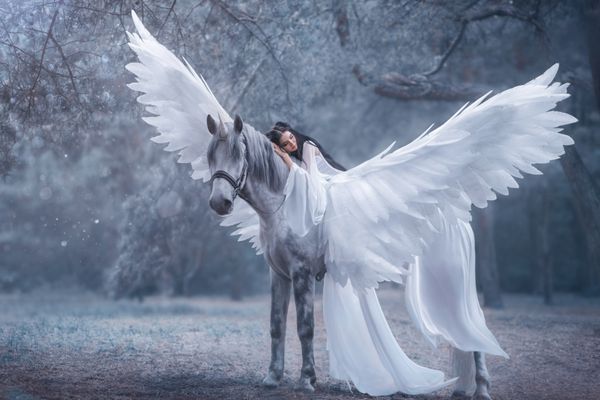 جلف زیبا جوان با راه رفتن با یک اسب شاخدار او نور نور باور نکردنی لباس سفید پوشانده است دختر بر روی اسب است زیبای خفته عکاسی هنری