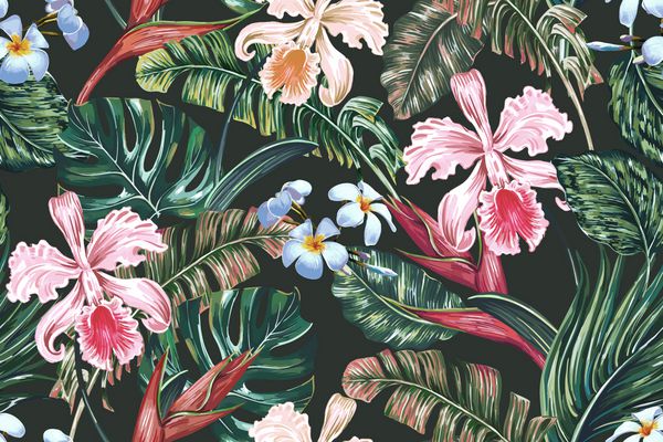 پس زمینه گلدار بدون درز با گل های عجیب و غریب برگ پالم برگ های جنگلی ارکیده پرنده گل بهشت تصویر زمینه گیاه شناسی در سبک هاوایی