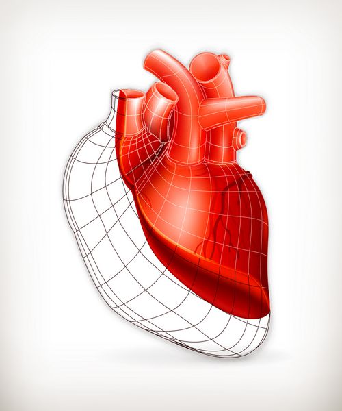 قلب ساختار بردار