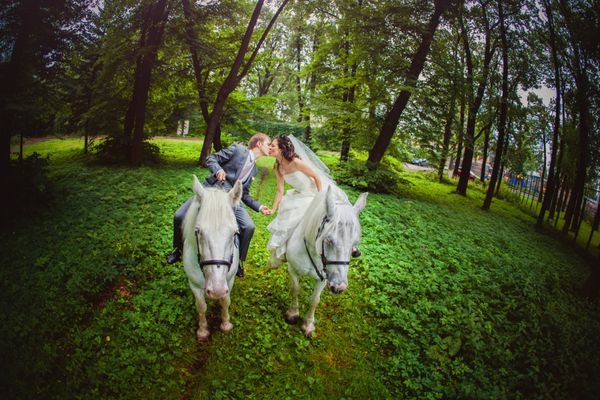 سنت پترزبورگ روسیه 08 اوت 2017 رویداد عروسی عروسی و عروس زن و شوهر عروسی در عروسی راه رفتن در پارک با اسب
