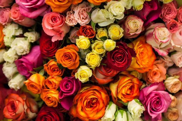 دسته گل زیبا از گل های رنگارنگ