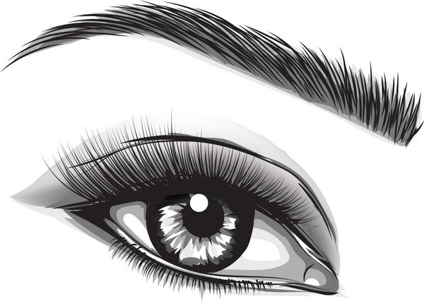 نقاشی قلم چشم و ابرو