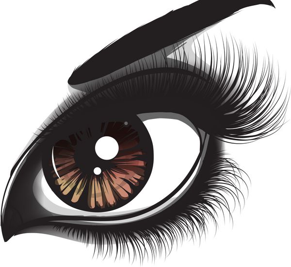 نقاشی قلم چشم و ابرو
